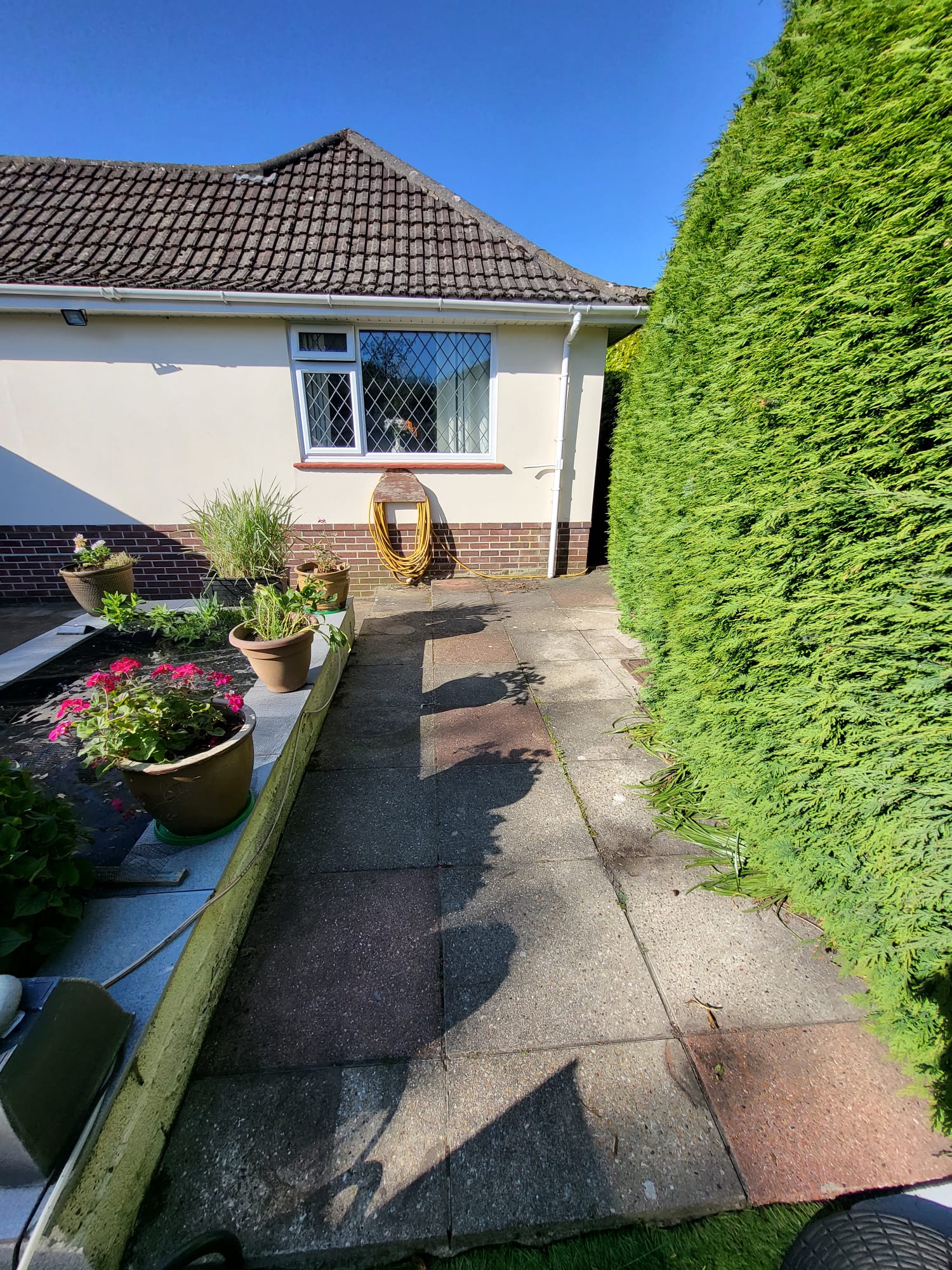 Garden pathway beside tall hedge and planted border